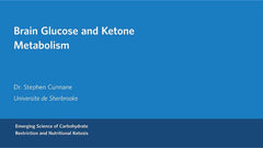 Dr. Stephen Cunnane : Métabolisme cérébral du glucose et des cétones