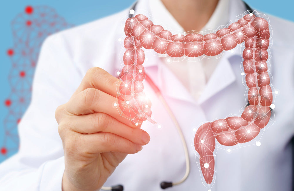 Le BHB pourrait-il protéger du cancer colorectal ?