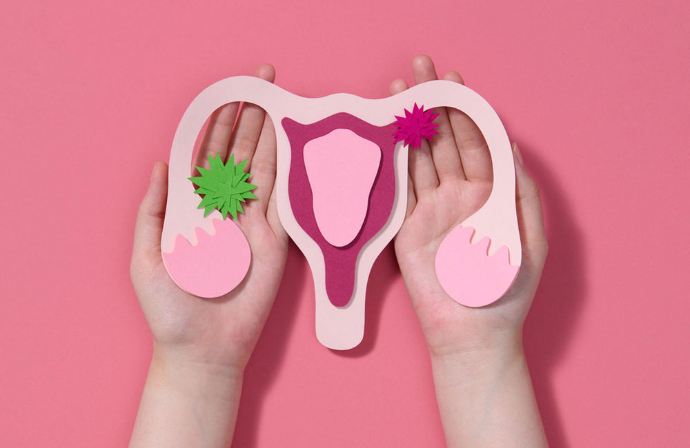 Fibromes utérins, cadmium et métaux lourds : que dit la science ?