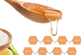 IMO, dextrine résistante: Que sont ces nouvelles fibres ?