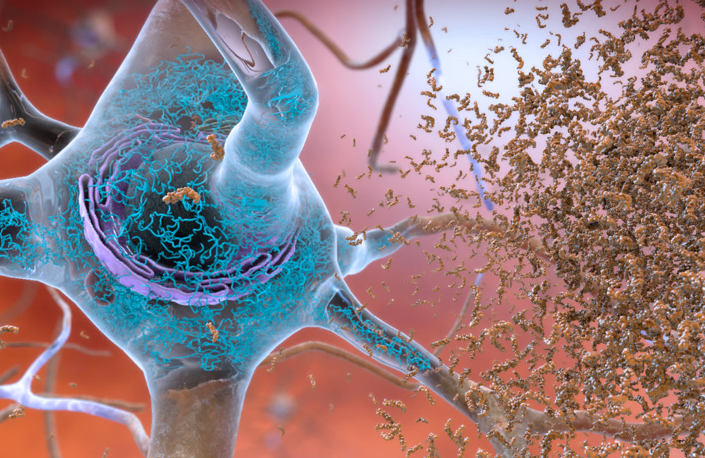 [Dossier Maladie d'Alzheimer] Comprendre la maladie pour pouvoir agir