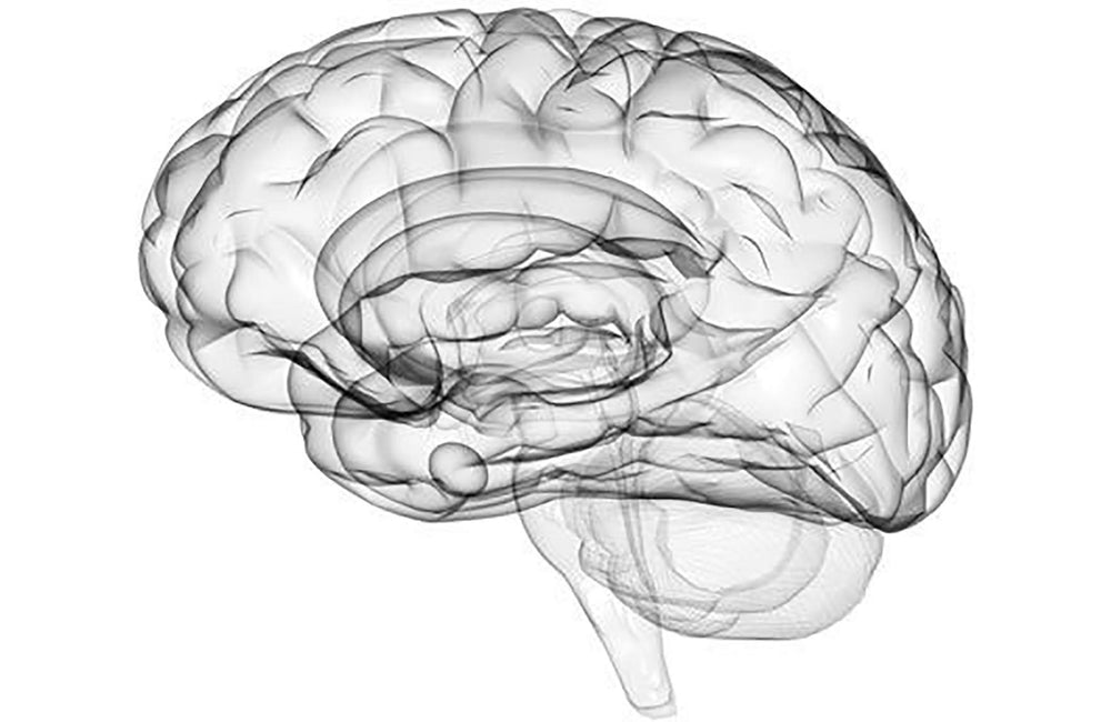 C8 et C10 : Pourquoi sont-ils antiépileptiques? Lequel privilégier ?