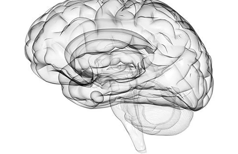 Intérêt nutritionnel de l'huile MCT dans le contexte de la Sclérose en plaques