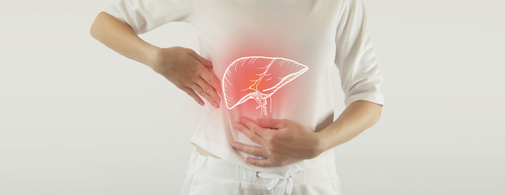 Le Tamoxifène augmente la résistance à l'insuline et la survenue de la NASH